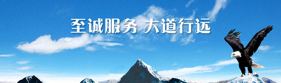 关于狼群在线观看免费(图1) 关于狼群在线观看免费(图1)